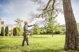 Best Lot and Land Clearing  in Skidmore, TX